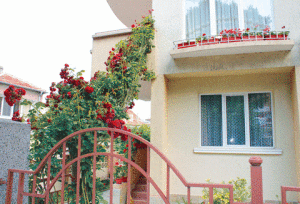 7_типичный-болгарский-дом-с-цветами